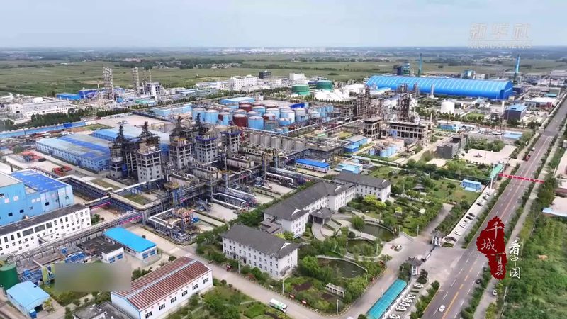 精细化工产品细分市场调研：案例分析及启示